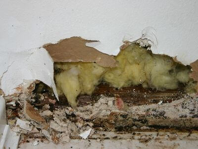 Professional water damage restoration services in Port St. Lucie - Water Cleanup Services Port St. Lucie
